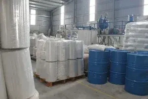 Nhà máy Màng PE Hanopro - Công Ty TNHH Hanopro (Việt Nam) #3 — MST 0104079237