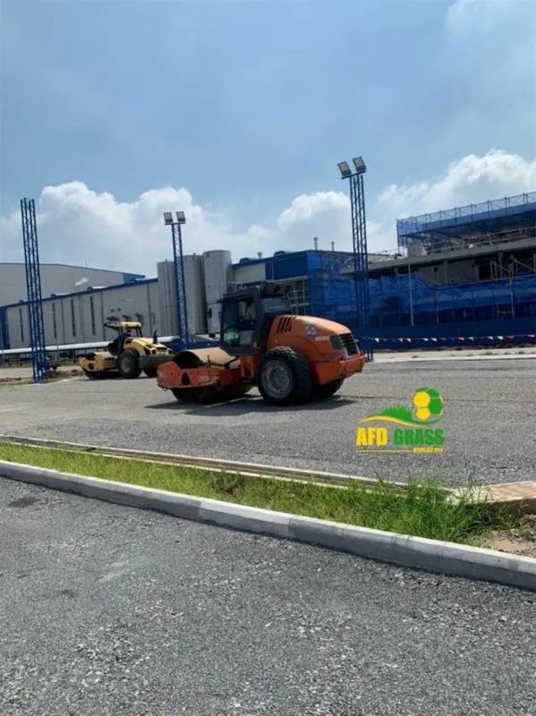 Sản phẩm 2124 — Cỏ Nhân Tạo AFD - Công Ty Cổ Phần Kiến Trúc AFD Việt Nam — MST 0104099258