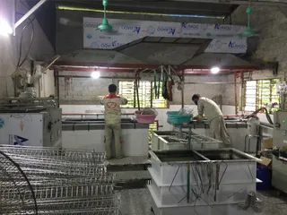 Sản phẩm 1592539529Electropolishing — Công Ty TNHH Dịch Vụ Sản Xuất Và Thương Mại Vân Anh — MST 0104124698