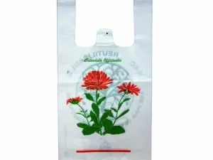Sản phẩm tshirt bag print 1sua 300x225 — Công Ty Cổ Phần Túi Nhựa Hà Nội — MST 0104147864