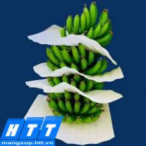 Sản phẩm xop pe foam boc hoa qua — Công Ty Cổ Phần Công Nghệ HTT Việt Nam — MST 0104153106