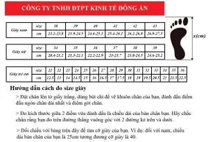 Sản phẩm 6b750f75e5f602a85be7 1 300x205 — Công Ty TNHH Đầu Tư Phát Triển Kinh Tế Đông ấn — MST 0104155777