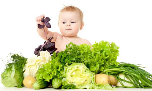 Sản phẩm che do dinh duong cho be suy dinh duong — Phần Mềm Kidsoft - Công Ty Cổ Phần Tin Học Quang Minh — MST 0104176093