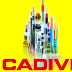 Sản phẩm cadivi cap dien thinh thanh 150x150 — Công Ty TNHH Vật Tư Xây Lắp Thịnh Thành — MST 0104183012
