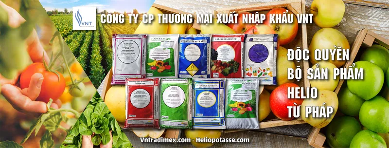 Sản phẩm 1 61dfa0ee89a35 — Công Ty Cổ Phần Thương Mại Xuất Nhập Khẩu VNT — MST 0104188003