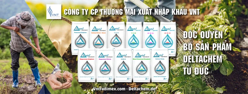 Sản phẩm 2 61dfa103bb521 — Công Ty Cổ Phần Thương Mại Xuất Nhập Khẩu VNT — MST 0104188003