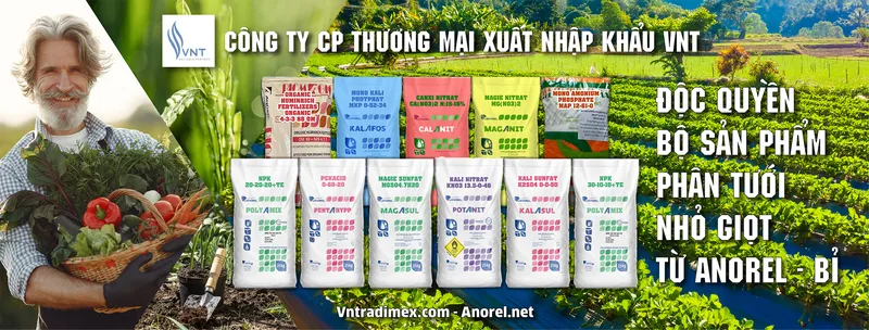 Sản phẩm 4 61dfa1285943a — Công Ty Cổ Phần Thương Mại Xuất Nhập Khẩu VNT — MST 0104188003