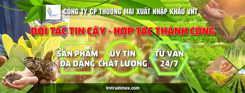 Sản phẩm 5 61dfa136a1edb — Công Ty Cổ Phần Thương Mại Xuất Nhập Khẩu VNT — MST 0104188003
