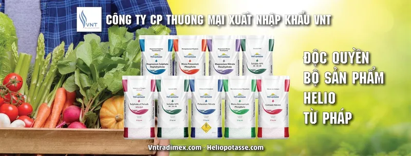 Sản phẩm 8 61dfa11a81723 — Công Ty Cổ Phần Thương Mại Xuất Nhập Khẩu VNT — MST 0104188003