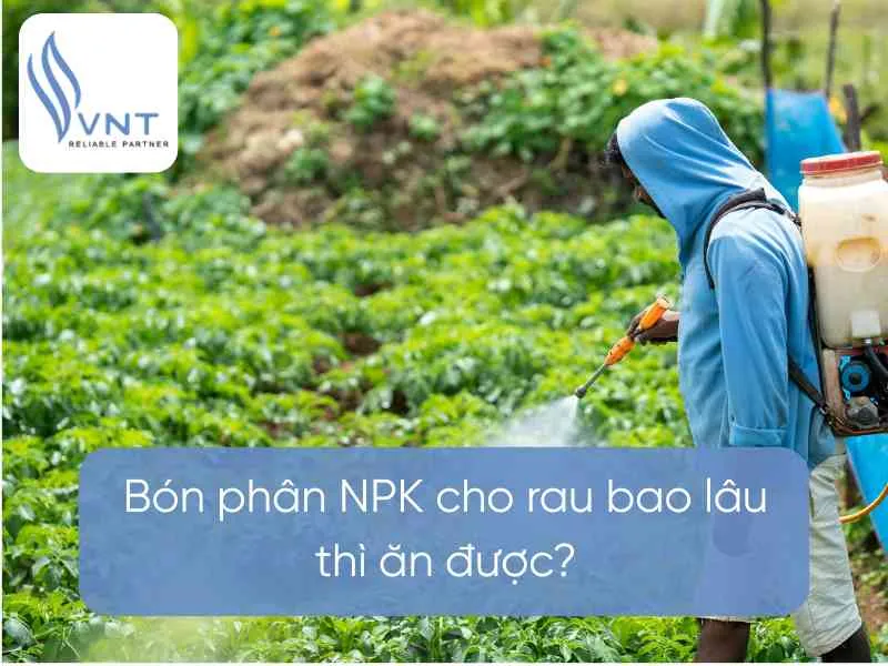 Sản phẩm bon phan npk cho rau bao lau thi an duoc 685e204cde416 — Công Ty Cổ Phần Thương Mại Xuất Nhập Khẩu VNT — MST 0104188003