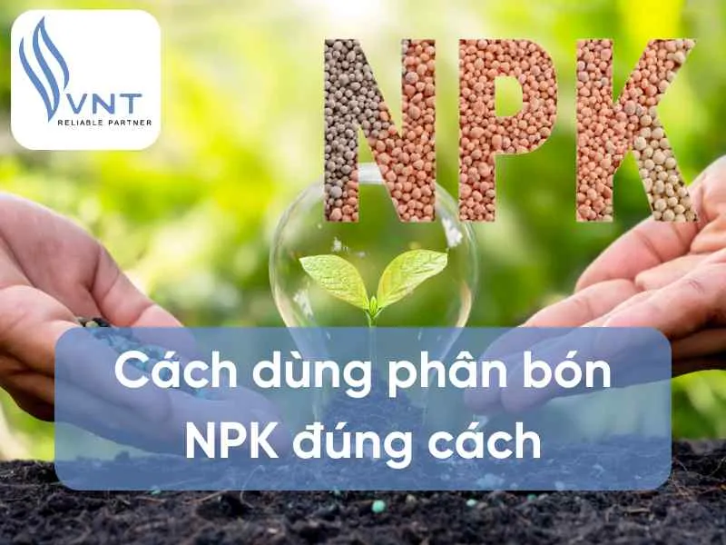 Sản phẩm cach dung phan bon npk dung cach 682c46ab907d2 — Công Ty Cổ Phần Thương Mại Xuất Nhập Khẩu VNT — MST 0104188003