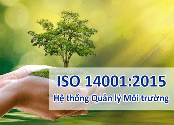 Sản phẩm 1 557x400 — Công Ty Cổ Phần NEWTEC GROUP — MST 0104213316