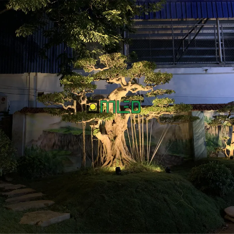 Sản phẩm thi cong quan cay omled — Công Ty CP Nghiên Cứu Và Phát Triển Công Nghệ Việt Nam — MST 0104216807