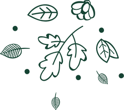 Sản phẩm about one shape 2 — HANU FOOD - Công Ty Cổ Phần Thực Phẩm Dinh Dưỡng Hà Nội — MST 0104267167