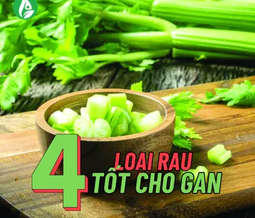 Sản phẩm loai rau tot cho gan 370x317 — HANU FOOD - Công Ty Cổ Phần Thực Phẩm Dinh Dưỡng Hà Nội — MST 0104267167