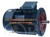 Sản phẩm Motor dien 3 pha Dong co dien 3 pha 50HP 37KW 2 4 6 8 10Cuc Poles Mat Bich — Công Ty Cổ Phần Thương Mại Và Dịch Vụ Thiên Trường An — MST 0104274598