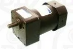 Sản phẩm Motor dong co giam toc DOLIN Mini 40W 1Pha 110 220V — Công Ty Cổ Phần Thương Mại Và Dịch Vụ Thiên Trường An — MST 0104274598