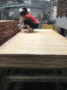 Sản phẩm Sua mat 225x300 — Ván ép Coppha Nhật Minh - Công Ty Cổ Phần Đầu Tư Và Xây Dựng Nhật Minh — MST 0104308511