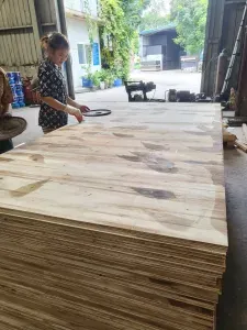 Sản phẩm ba 2.1 225x300 — Ván ép Coppha Nhật Minh - Công Ty Cổ Phần Đầu Tư Và Xây Dựng Nhật Minh — MST 0104308511