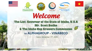 Sản phẩm Welcome idaho hop 300x169 — VinaBeco - Công Ty CP Công Nghệ Bia Rượu Nước Giải Khát Việt Nam — MST 0104504749