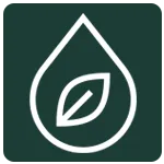 Sản phẩm tinh dau don huong icon — Công Ty TNHH Một Thành Viên Thương Mại Và Sản Xuất Nga Thương — MST 0104505037