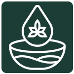 Sản phẩm tinh dau duoc lieu icon — Công Ty TNHH Một Thành Viên Thương Mại Và Sản Xuất Nga Thương — MST 0104505037