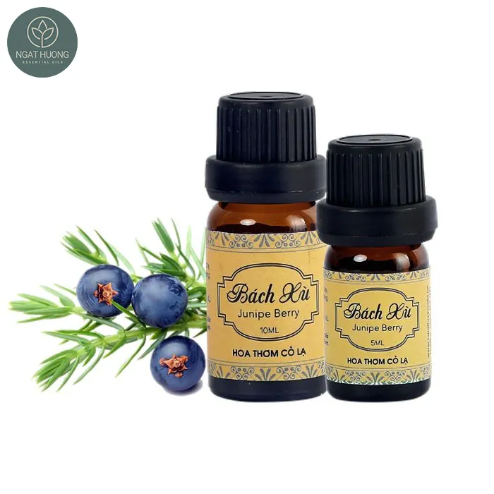 Sản phẩm Tinh dau bach xu 1 — Công Ty TNHH Một Thành Viên Thương Mại Và Sản Xuất Nga Thương — MST 0104505037