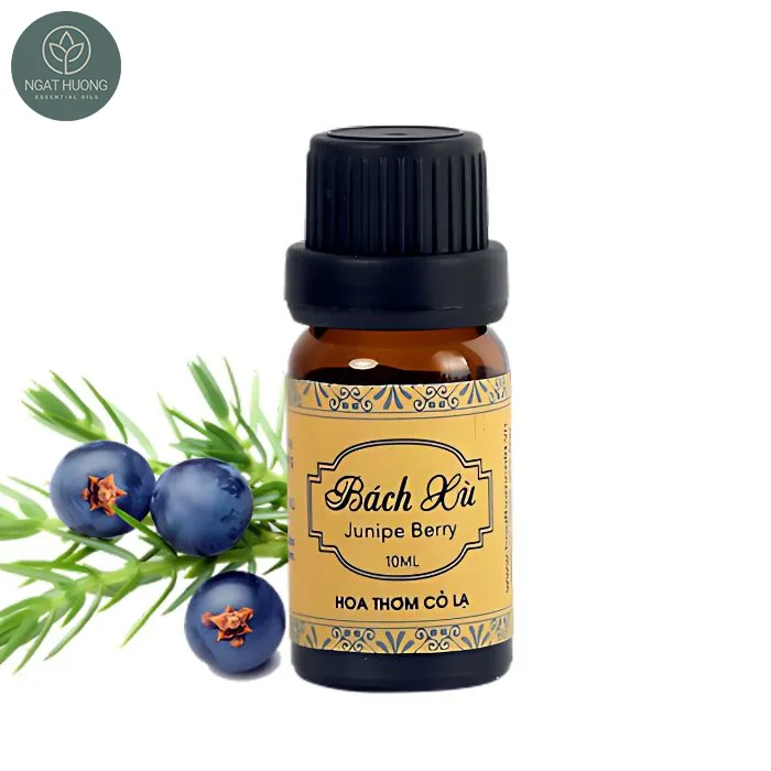 Sản phẩm Tinh dau bach xu — Công Ty TNHH Một Thành Viên Thương Mại Và Sản Xuất Nga Thương — MST 0104505037