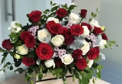 Sản phẩm 5f393a1df30816564f19_optimized 247x170 — Công Ty Cổ Phần Phần Mềm Meliasoft — MST 0104539854