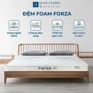 Sản phẩm dem foam forza 1 300x300 — Công Ty TNHH Đầu Tư Và Phát Triển TM Quốc Cường — MST 0104564272