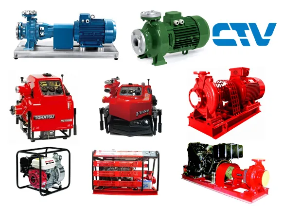 Sản phẩm 1483061903643 — Công Ty Cổ Phần Thương Mại Và Dịch Vụ Cường Thịnh Vương — MST 0104580612