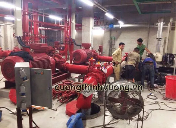 Sản phẩm 1487301979605 — Công Ty Cổ Phần Thương Mại Và Dịch Vụ Cường Thịnh Vương — MST 0104580612