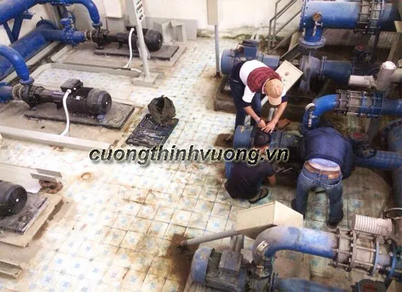 Sản phẩm 1487302079338 — Công Ty Cổ Phần Thương Mại Và Dịch Vụ Cường Thịnh Vương — MST 0104580612
