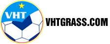 Logo Công Ty Cổ Phần Tư Vấn Đầu Tư Và Phát Triển Văn Hóa Thể Thao Việt Nam