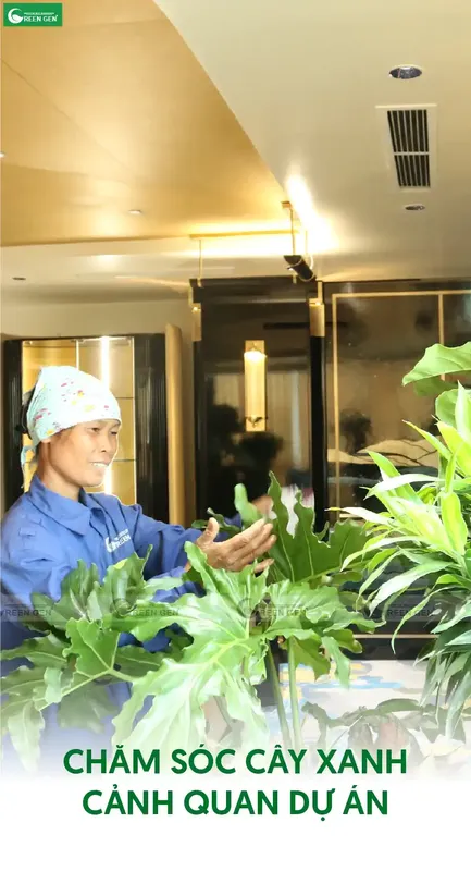Sản phẩm cham soc cay xanh canh quan du an — Cây Xanh Green Gen - Công Ty CP Phát Triển Tài Nguyên Thực Vật Green Gen — MST 0104618111