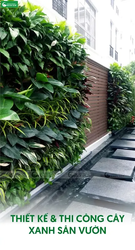 Sản phẩm thiet ke va thi cong cay xanh san vuon — Cây Xanh Green Gen - Công Ty CP Phát Triển Tài Nguyên Thực Vật Green Gen — MST 0104618111