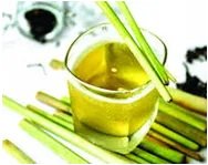 Sản phẩm 17 — Công Ty Cổ Phần Hanotech Việt Nam — MST 0104635981