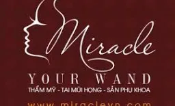 Sản phẩm Miracle your wand 256x155 — Công Ty TNHH Thiết Bị Y Học Công Nghệ Trung Mỹ — MST 0104711914