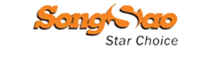 Logo Túi Vải Song Sao - Công Ty TNHH Sản Xuất Và Thương Mại Song Sao