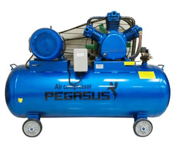 Sản phẩm máy nén khí pegasus — Công Ty CP Kinh Doanh XNK Gia Ân — MST 0104764641