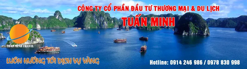 Sản phẩm 2818f — Công Ty CP Đầu Tư TM Và Du Lịch Tuấn Minh — MST 0104774449
