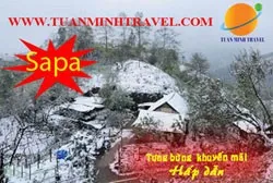 Sản phẩm 166cb — Công Ty CP Đầu Tư TM Và Du Lịch Tuấn Minh — MST 0104774449