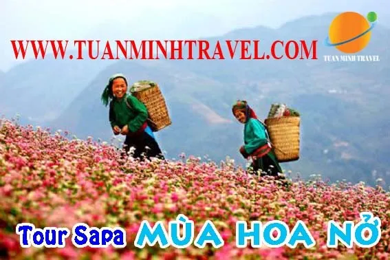 Sản phẩm 1c0e4 — Công Ty CP Đầu Tư TM Và Du Lịch Tuấn Minh — MST 0104774449