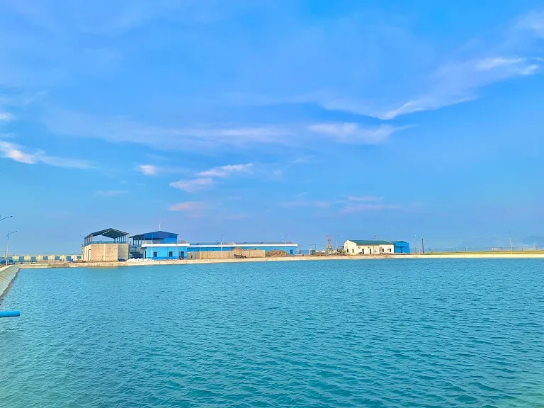 Nhà máy Công Ty Cổ Phần Nhân Luật Miền Bắc #? — MST 0104779077