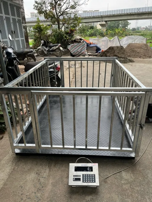Sản phẩm goc_1767339017 — Công Ty Cổ Phần Cân Điện Tử An Thịnh — MST 0104802488