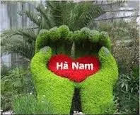 Sản phẩm 2046172502_hanam — Công Ty Cổ Phần VTM Việt Nam — MST 0104880711
