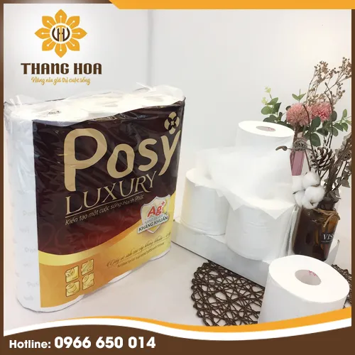Sản phẩm giayvsposy — Công Ty Cổ Phần Đầu Tư Thương Mại Thăng Hoa — MST 0104903623