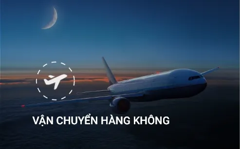 Sản phẩm service1 — WM Logistics - Công Ty TNHH Giao Nhận Hàng Hải Toàn Cầu — MST 0104936604