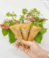 Sản phẩm \uploads\images\posts\638242496545611698 z4470764415927_c6fc805cd36bac02b6ed5da53dcac6ae1 — Công Ty TNHH Công Nghệ Mới Hoàng Tùng — MST 0104937291
