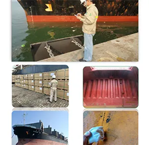 Sản phẩm 6 — Giám Định ProQc Việt Nam - Công Ty TNHH Giám Định ProQc Việt Nam — MST 0104983989